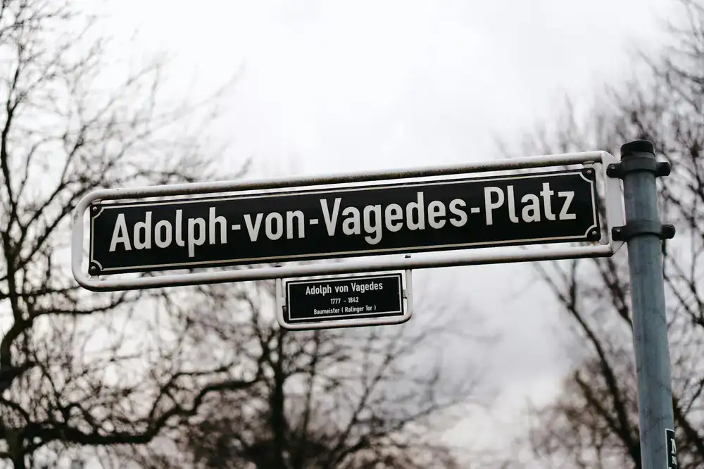 Nahaufnahme von frischen, grünen Erbsen-Trieben